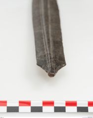 Foto von Eisenschwert (NHMW-PRAE-024521)